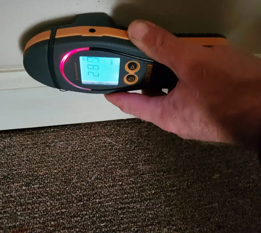 Moisture detection at baseboard during Mold Inspection & Testing in Brookville